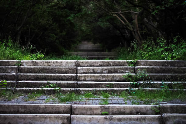 Old abandoned stone staircase in park. Stone steps