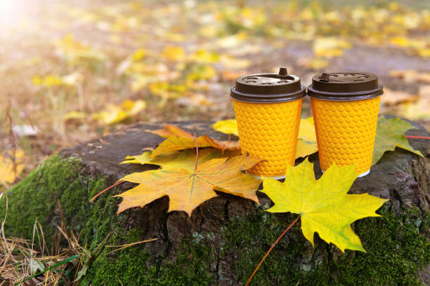 istock Two paper coffee cups on a tree stump in an autumn park 1347684083
