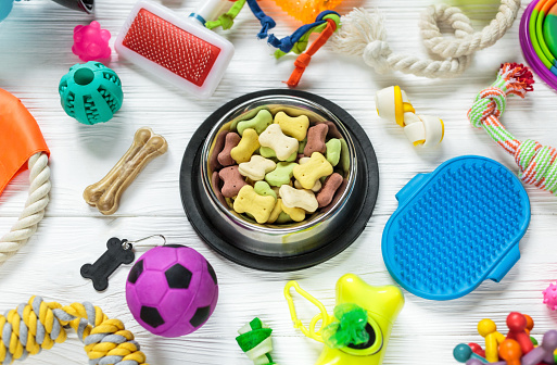 Different multicolored pet care accessories: bowl, bones, balls, snacks on white wooden background. Rubber and textile toys for dogs. Top view, flat lay. Copy space