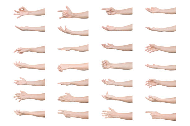 Set of man hand gestures isolated on white background stock photo
