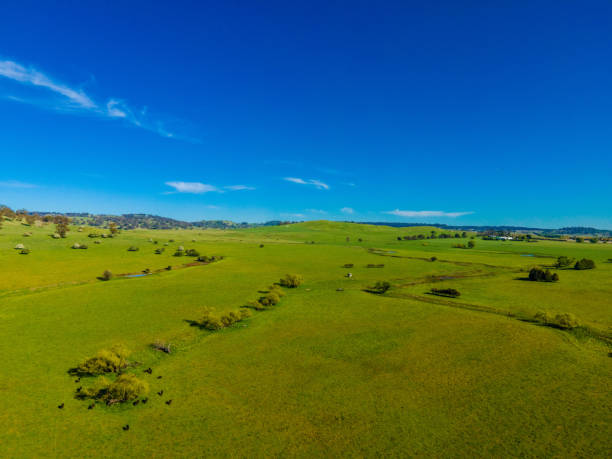 istock Stonehenge NSW Australia 1347685681