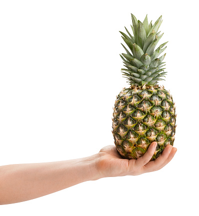 pineapple in hand path isolated on white