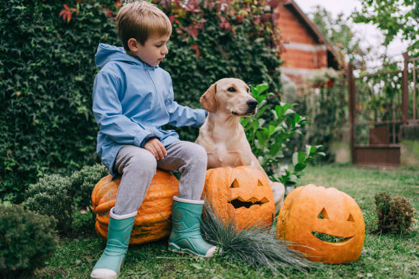 wir sind bereit für das halloween - 1 2 months stock-fotos und bilder