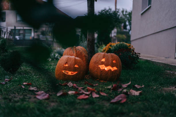 A bright orange pumpkin lies on the ground, partially decomposed, surrounded by vibrant green grass in the warmth of an autumn day.
