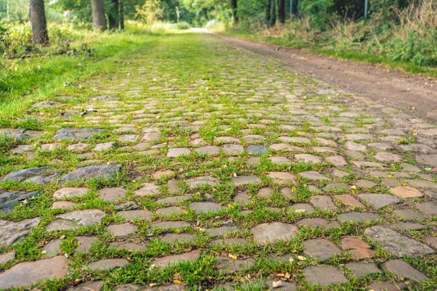 Solution of paved parking lot surfaces and roads with the ability to absorb water directly from the surface and on the spot. concrete tiles have joints are filled with soil where the lawn grows or there is gravel pebbles
