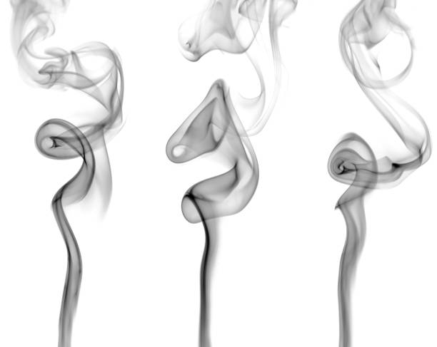 swirling movement of the black smoke group Collection swirling motion of black smoke or fog group, abstract line isolated on white background cigar photos stock pictures, royalty-free photos & images