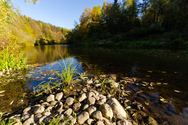 Flat stones on the lake shore