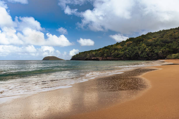 istock Perle Beach, Guadeloupe - France 1347695749