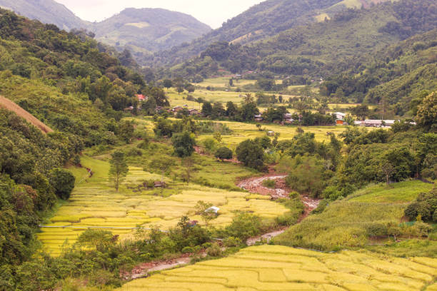 istock Scenery of rice fields in valley from Thailand. 1347704665