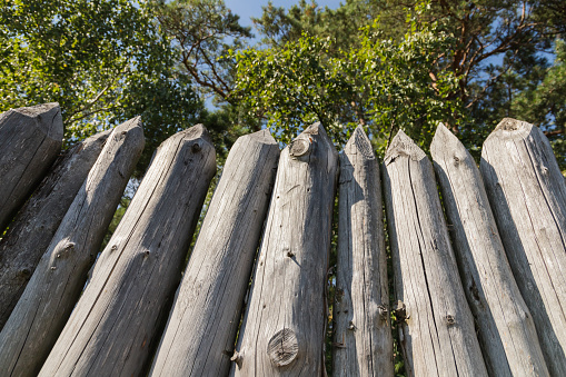 Palisade perspective view. Typical ancient fence construction consisted of small or mid-sized tree trunks pointed at the top and aligned vertically, with no free space in between
