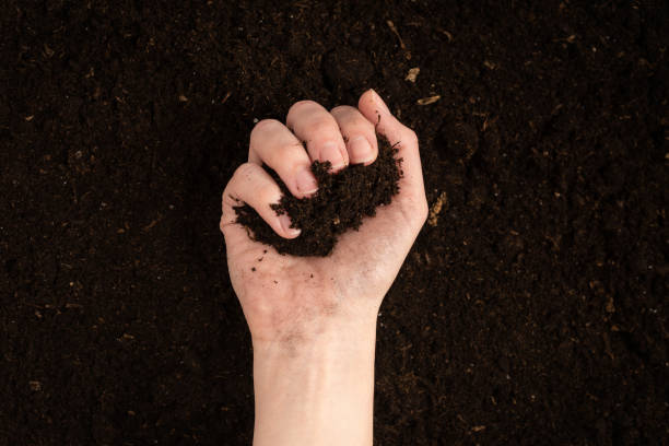 istock Woman hand holding ground. Top view. 1347712532