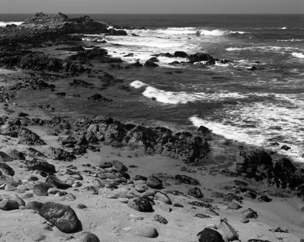 istock Monterey Bay California 1347714970