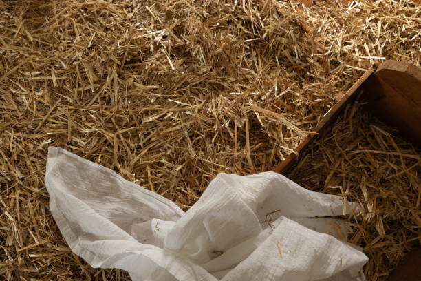 istock Christmas nativity manger from above 1347715293