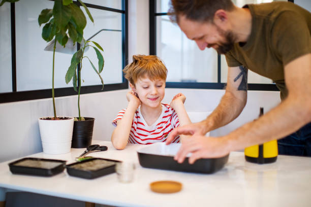 istock Father and son planting microgreens at home 1347717063