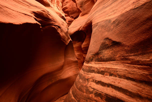 rattlesnake canyon arizona - rattlesnake photos et images de collection