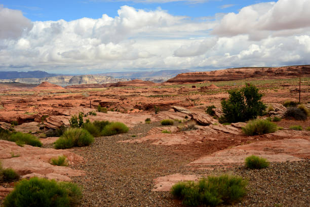 istock Lake Powell Arizona 1347719317