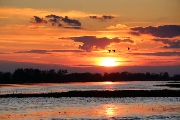 istock Colorful sunset by the Odra River, Poland. 1347720401