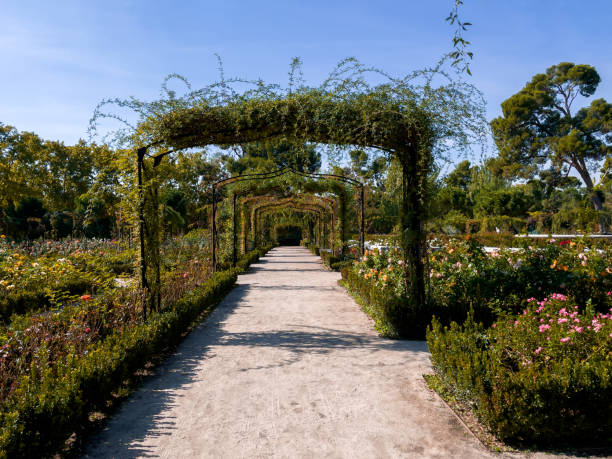 istock Path of vines and flowers in a park. 1347720487
