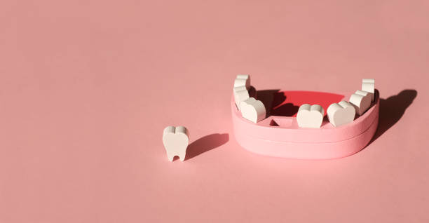 juguete modelo de madera de una mandíbula humana con un diente faltante sobre fondo rosa - dientes humanos fotografías e imágenes de stock