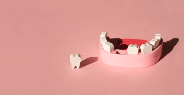 Wooden model toy of a human jaw with a missing tooth on pink background Wooden model toy of a human jaw with a missing tooth on a pink studio background. The problem of tooth loss. Baby milk teeth. Banner. Copy space. gap toothed photos stock pictures, royalty-free photos & images