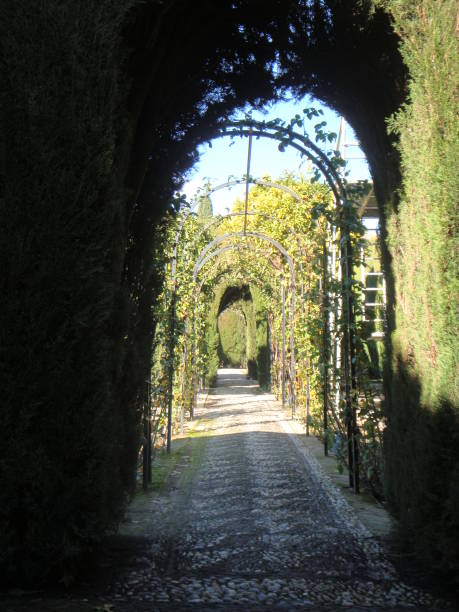 istock gardens in the Alhambra 1347721723