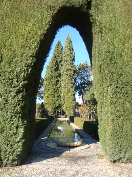 istock gardens in the Alhambra 1347721737