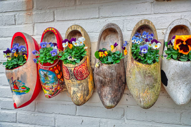 zoccoli tradizionali olandesi (klompen) con fiori in fiore - amsterdam traditional culture netherlands wood foto e immagini stock