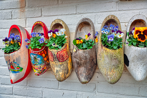 Traditional dutch clogs (klompen) wooden shoes as very colorful flower pots on brick wall background. Clouse up. My souvenirs from a Holland vacation. Ideas for country house decoration. Wall decor for design.