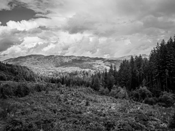 istock Hiking trail to Ben Venue, Stirling 1347727613