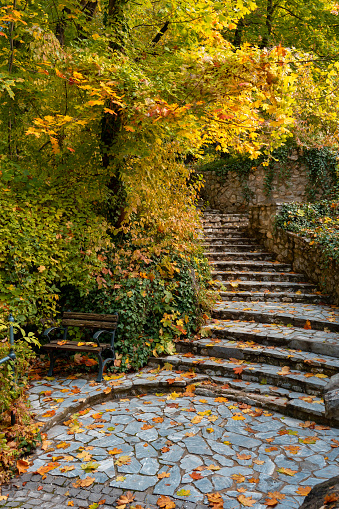 bench and stairs in beautiful colorful hanging garden in Lillafured Hungary autumn fall season in Bukk National Park