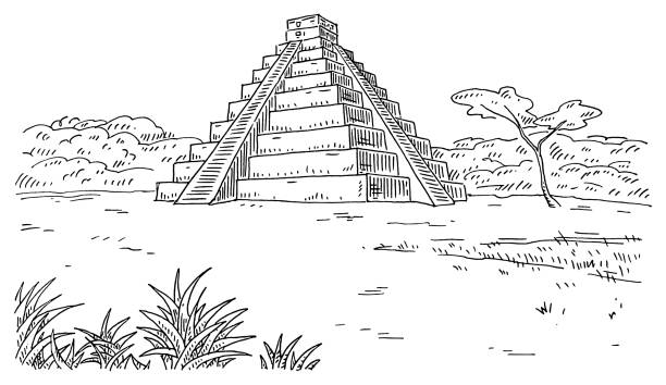 ilustraciones, imágenes clip art, dibujos animados e iconos de stock de pirámide maya y selva. grabado vintage ilustración en negro. - dibujos aztecas