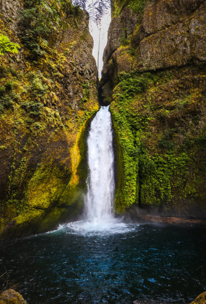 oregon wahkeena wasserfälle - mt hood national park stock-fotos und bilder