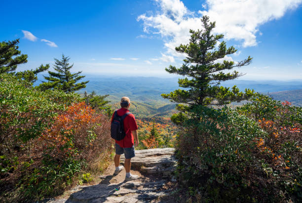 istock Hiker standing on cliff edge enjoying scenic fall view. 1347738479