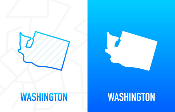 워싱턴 - 미국 주. 두 면 배경에 흰색과 파란색 색상의 등고선. 미국의 지도. 벡터 그림입니다. - bellingham stock illustrations