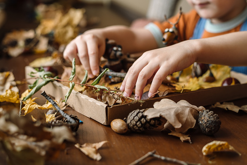 Family using autumn leaves, acorns, chestnuts and pine cones for seasonal crafts
