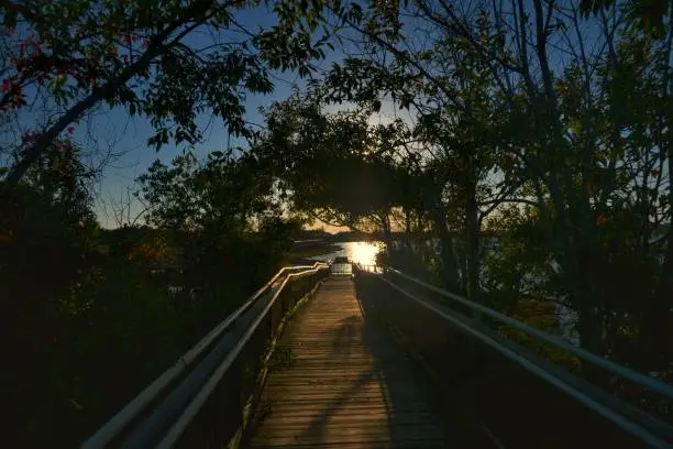 Photo of Marsh Boardwalk at Sunrise - I
