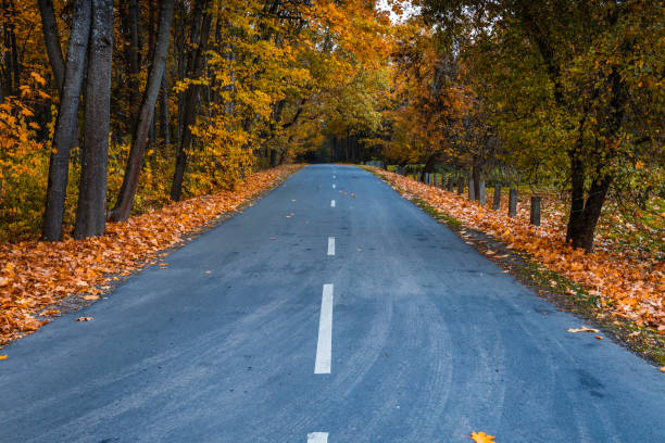istock asphalt road with bend white line and leafs in autumn 1347745966