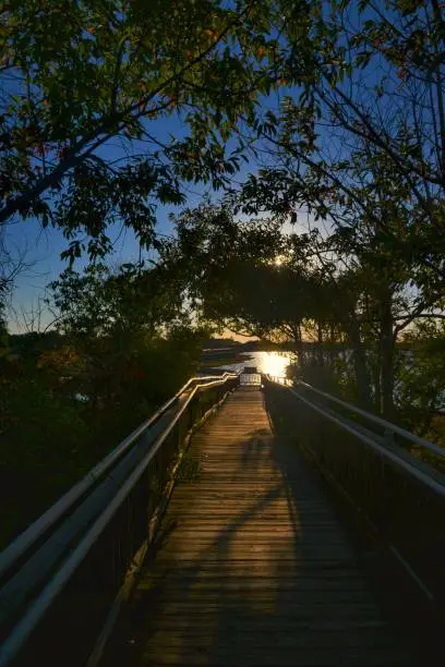 Photo of Marsh Boardwalk at Sunrise - II