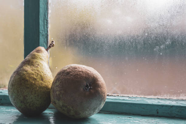 istock Two large pears after the fall harvest on an old, misted blue window. 1347746875