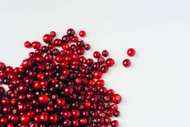 istock Red ripe cranberries on white background with place for text 1347752059