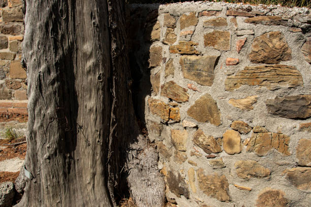 istock The texture of a stone wall with the tree wood. 1347753878