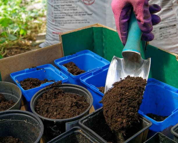 istock Filling plastic seedling flower pots with potting mix compost. 1347760777
