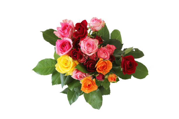istock bouquet of roses in a white background 1347762995