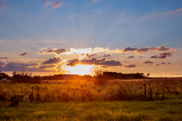 istock Rural landscape at sunset on an autumn day. Cloudy sky with sun rays 1347765564