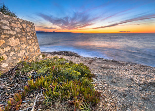 istock Coastal vegetation Cap Corse 1347768419