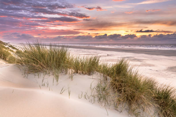 istock View from dune top over North Sea 1347770495