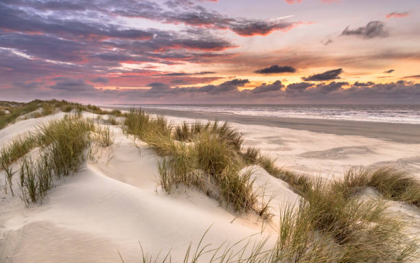 istock View from dune top over North Sea 1347773161