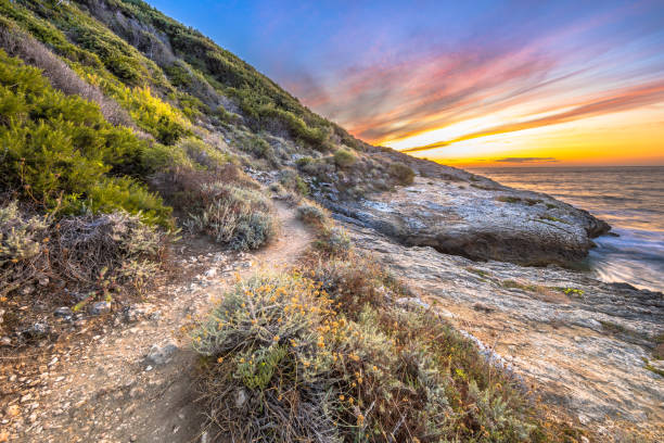 istock Coastal vegetation Cap Corse 1347773246