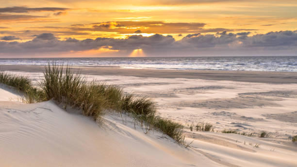 istock View from dune top over North Sea 1347774697