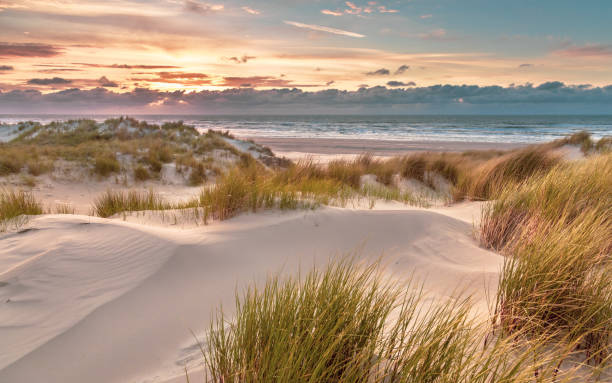 istock View from dune top over North Sea 1347774760